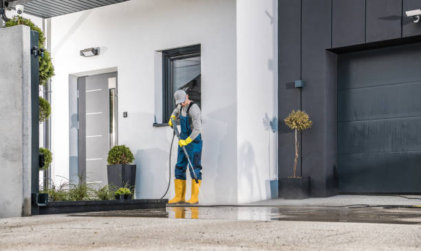 Best Roof Cleaning and Mildew Removal in Luck, WI